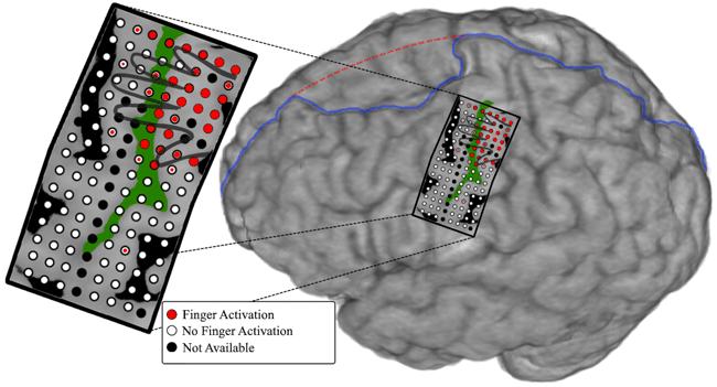 Applications  Neurotech EDU