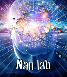 Nan Lab NanLab
